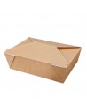 Envase Caja Americana 1980 ml