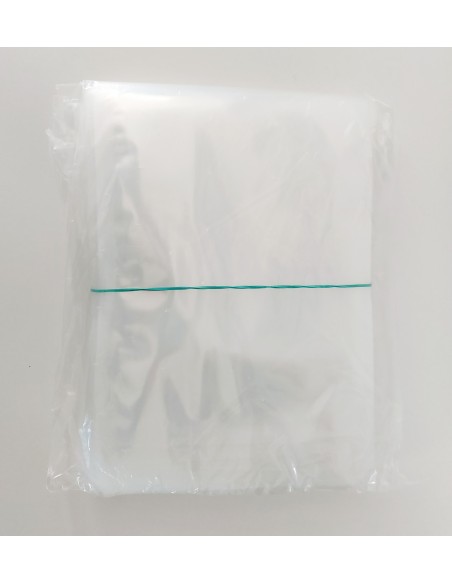 Bolsa de Vacio 18x25 100 ud